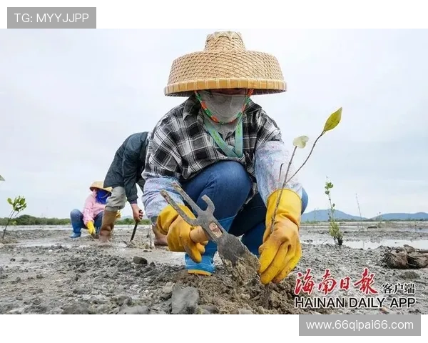 如何安全便捷地访问红树林登录网址的完整指南 如何安全便捷地访问红树林登录网址的完整指南